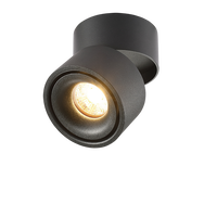 LED svítidla - LED Downlight povrchová montáž 12W černá 4000K BRIDGELUX-CHIP nastavitelný