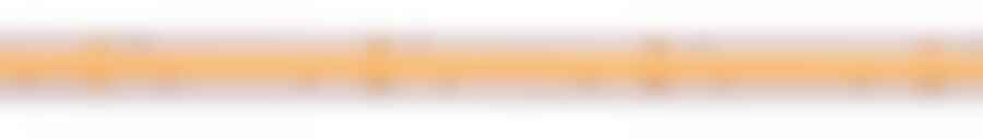 Pracovní osvětlení - IMPR 840409 Deko-Light LED pásek, Sauna, COB, 24V-10W, 2700 K, 2m, silikon, konstantní napětí, 24V DC 10 W/m 850 lm/m 2000 mm - LIGHT IMPRESSIONS - foto 1