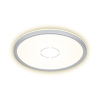 Kruhová - BRI 3391-014 Slim svítidlo LED panel, pr. 29,3 cm, 2400 lm, 18 W, stříbrná - BRILONER