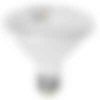 GU5,3 - FAN KLASSIC-PAR30M Žárovka LED PAR30 E27, 10 W, 750 lm, 4000 K, 38 °, 95 x 95 mm, 25 000 h, CRI 80 - FANEUROPE