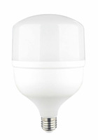 E27 - LED žárovka E27 T120 40W
