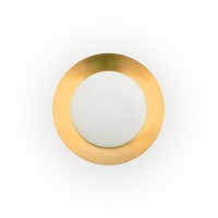 Kruhová - FARO 62146 SIDE 450 stropní svítidlo, černá a zlatá, 17W - FARO