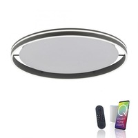 PN 8418-13 Q-VITO, LED stropní svítidlo, Smart Home, průměr 79,4cm ZigBee 2700-5000K - PAUL NEUHAUS