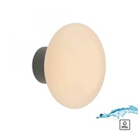 Nástěnná - PN 9468-15 OLAF LED venkovní nástěnné a stropní svítidlo šedá 3000K - PAUL NEUHAUS