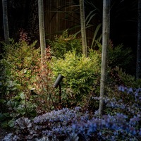 Zápichy - AST 1426002 Venkovní bodové svítidlo Myos 8W 3000K černá - ASTRO Lighting