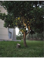 Sloupková - NV 9470581 Venkovní sloupkové svítidlo FOX tmavě šedý pískovec skleněný difuzor GU10 1x7W 100-240V bez žárovky IP65 - NOVA LUCE