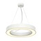 Kruhová - LA 133841 MEDO RING 60 závěsná SMD LED bílá 230V/700mA LED 36W 3000K - BIG WHITE (SLV)