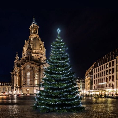 SADY na stromy - DLED TRS501 LED světelná sada na stromy vysoké 15-17m, ledová bílá - foto 1
