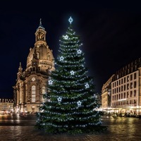 SADY na stromy - DLED TRS6025 LED světelná sada na stromy vysoké 18-20m, ledová bílá s dekory 8EFD13