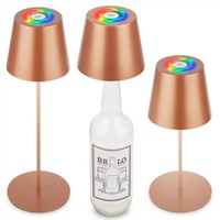 Stolní lampy dekorační - BRILO 7510013 Calida stolní lampička - 2,5W, 200lm, nabíjecí, LED, stmívatelné, RGBW, uchycení na láhev, bronzová - BRILO