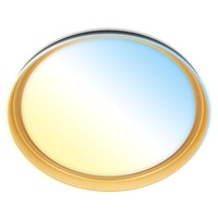 Akční zboží - BRILO 3943015 AKCE - Gima stropní svítidlo pr.51 cm - 48W, 5200lm, LED, stmívatelné, dálkový ovladač, CCT, černá/zlatá - BRILO