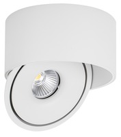 LED svítidla COB - LED COB Downlight 30W ROUND ROTATABLE BÍLÁ - BRIDGELUX