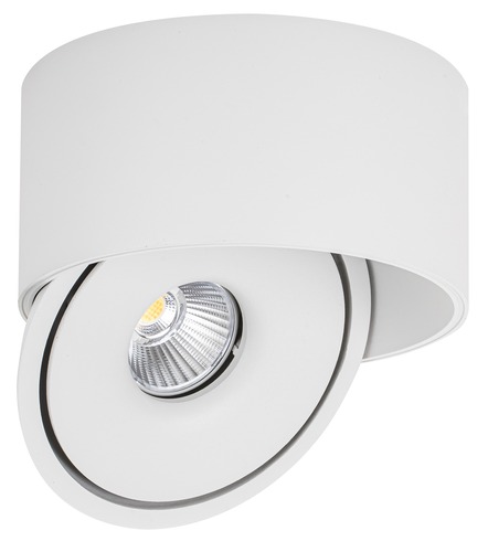 LED svítidla COB - LED COB Downlight 30W ROUND ROTATABLE BÍLÁ - BRIDGELUX - foto 1