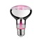 E27 - P 28733 LED Grow Green lampa pro rostliny R80 E27 6,5 W - PAULMANN