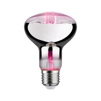 E27 - P 28733 LED Grow Green lampa pro rostliny R80 E27 6,5 W - PAULMANN