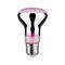 E27 - P 28732 LED Grow Green lampa pro rostliny R63 E27 6,5 W - PAULMANN