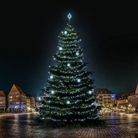 SADY na stromy - DLED TRS7021 LED světelná sada na stromy vysoké 21-23m, ledová bílá s dekory EFD01