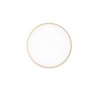 Kruhová - FAN I-PANGEA-PL40-ORO Stropní LED svítidlo PANGEA, zlatá, 24 W, 3520 lm, s nastavitelnou barevnou teplotou (CCT), 41 x 6 cm - FANEUROPE