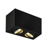 Downlight - LA 1002003 TRILEDO Double, LED stropní nástavbové svítidlo, černá, 3000K, 16W - BIG WHITE (SLV)