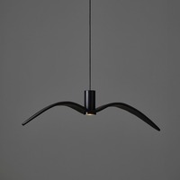 Dekorativní - BRO PC01112_007 Night Birds Exterior, závěsné svítidlo, 6,5W LED, šedé kouřové sklo / masiv / černý elox / černý kabel, délka 73cm, IP54 - BROKIS A