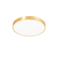 Kruhová - ZUMA 003064-021967 Stropní svítidlo SIERRA CL12100008-GD - ZUMALINE