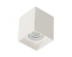 Downlight - BPM 10099.01.SR.WH-WH Stropní svítidlo NOCTUA SQUARE bílé 100x100mm max.50W GU5.3 - BPM-WHITE (CRISMOSIL/MODULAR)