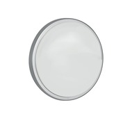 Nástěnná - FAN LED-EVER-XL-MW SIL Venkovní nástěnné a stropní svítidlo LED EVER stříbrná, polykarbonát, 28 W, 3750 lm, 4000 K, se senzorem, IP65, 30 x 7,8 cm - FANEUROPE