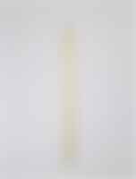 Nepřímé osvětlení - NV 9081200 Nástěnné svítidlo SELINE zlatý hliník LED Philips 44W 230V 3000K IP44 - NOVA LUCE