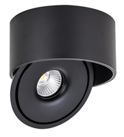 LED svítidla COB - LED COB Downlight 30W ROUND ROTATABLE ČERNÁ - BRIDGELUX