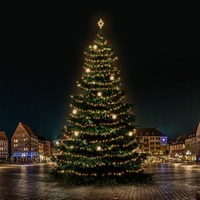 SADY na stromy - DLED TRS7021W LED světelná sada na stromy vysoké 21-23m, teplá bílá s dekory EFD02W