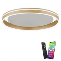 Kruhová - PN 8416-60 Paul Neuhaus, Q-VITO, LED stropní svítidlo, pr.59cm, Smart Home ZigBee 2700-5000K - PAUL NEUHAUS