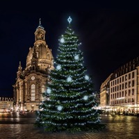 SADY na stromy - DLED TRS6023 LED světelná sada na stromy vysoké 18-20m, ledová bílá s dekory 8EFD08