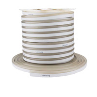 LED flex neon - LED Flex-Neon 220V