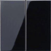 Vypínače a zásuvky - JU LS995SW AKCE - Kryt dvojitý vypínač, sériové tlačítko černá LS995SW - JUNG