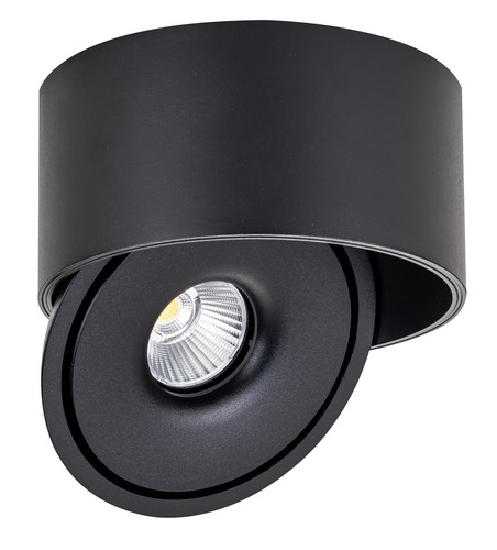 LED svítidla COB - LED COB Downlight 30W ROUND ROTATABLE ČERNÁ - BRIDGELUX - foto 1