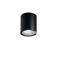 Přisazená - FAN I-CITIZEN-R1-NER Venkovní stropní svítidlo Citizen, černé, 1 x E27, IP54, 14,5 x 17 cm - FANEUROPE