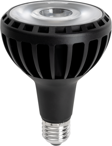 E27 - LED žárovka PAR30 E27 - foto 1