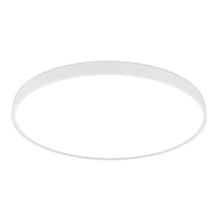 LED stropní svítidla - Stropní světlo LED Bílé tělo - kulaté