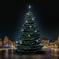 SADY na stromy - DLED TRS7025 LED světelná sada na stromy vysoké 21-23m, ledová bílá s dekory 8EFD13