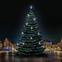 SADY na stromy - DLED TRS7024 LED světelná sada na stromy vysoké 21-23m, ledová bílá s dekory EFD09S2