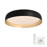 Kruhová - LD 14216-18 OSKO LED stropní svítidlo průměr 57 černá / zlatá stmívatelné dálkovým ovladačem CCT 2700-5000K - JUST LIGHT
