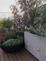 Zapuštěná - NV 9117080 Venkovní zapuštěné svítidlo do zdi FINLO šedý beton IP65 bez světelného zdroje - NOVA LUCE