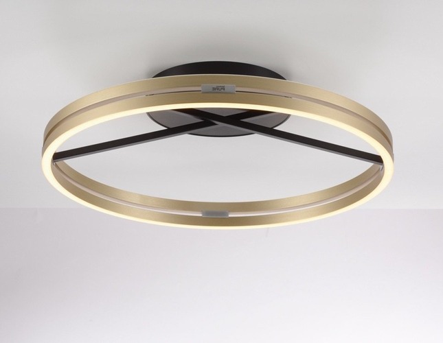 Kruhová - PN 6552-68 Stropní svítidlo PURE Loop LED 7W 2700-5000K + LED 30W 2700-5000K černá/zlatá slonová kost - PAUL NEUHAUS - foto 1