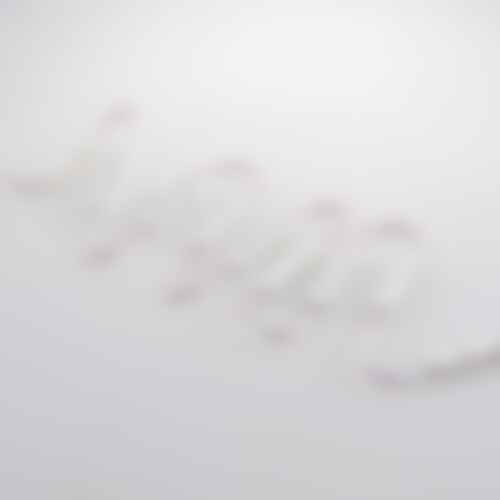 Dekorační - FAN LED-INSIGN-F-LENS Sada 20 LED modulů INSIGN DC12V, polykarbonát, 1,2 W/m, 120 lm/m, 6000 K, IP66 - FANEUROPE - foto 1