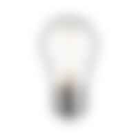 E27 - P 29214 Eco-Line Filament 230V LED kapka E27 80 mm 4W 4000K čirá - PAULMANN