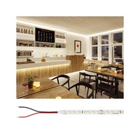 Pracovní osvětlení - P 76025 Pro LED Strip Silver P75 827 10m 42W 700lm/m 96LEDs/m 2700K - PAULMANN