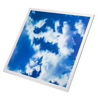 LED panely - LED Panel Cloud Optic (MOQ 4ks / BOX)