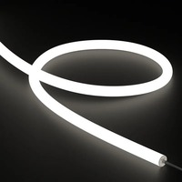 Dekorační - CL NNR25-48V-CCT LED NeonFlex 360° 48VDC 14,4W/m 2300+4000K 950lm/m CRI90 IP65 10m - COLORS