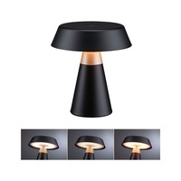 Stolní lampy dekorační - P 77060 Nabíjecí bateriové svítidlo Lirox IP44 CCT černá/šampaň - PAULMANN