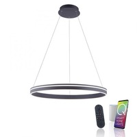 Kruhová - PN 8412-13 Závěsné svítidlo Q-VITO Smart Home antracit 58W 2700-5000K 2600lm 79,4cm - PAUL NEUHAUS